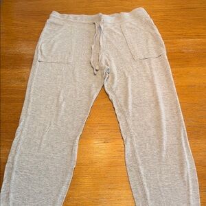 Cozy Heather Gray Jogger Pants